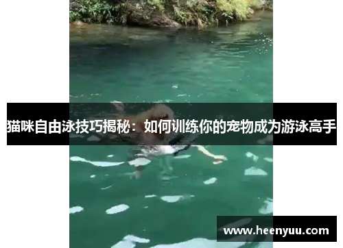猫咪自由泳技巧揭秘：如何训练你的宠物成为游泳高手