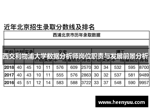 西交利物浦大学数据分析师岗位职责与发展前景分析